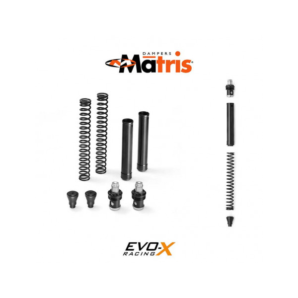 kit cartouche Matris FKE KAWASAKI Z 750 04-06