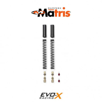 kit cartouche Matris FRK KAWASAKI ZX 6RR & ZX 636R 03-04 
