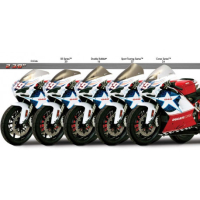 Bulle sport touring ZG Ducati 1098 - S - R- BAYLISS Tricolore - 848 - Nicky Hayd - Couleur : FUMÉ FONCÉ