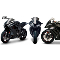 Bulle Kawasaki ZX-10R - Couleur : FUMÉ FONCÉ