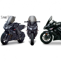 Bulle sport touring ZG Kawasaki Z 1000 SX - ZX10R - Couleur : FUMÉ CLAIR