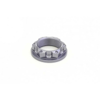 KAWA Z 125 / TRIUMPH STREET TRIPLE / DAYTONA ECROU DE COLONNE DE DIRECTION EVOTE - Couleur : TITANE