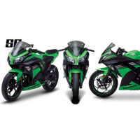 Bulle Kawasaki Ninja 250R et 300R - Couleur : FUMÉ CLAIR