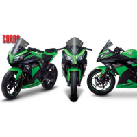 Bulle Kawasaki Ninja 250R et 300R - Couleur : FUMÉE CLAIR