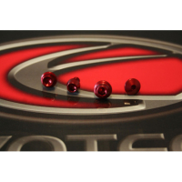 YAHAMA KIT VISSERIE CARENAGE - Couleur : SILVER