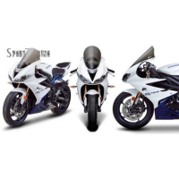 Bulle sport touring ZG Triumph Daytona 675 - Couleur : FUMÉ CLAIR