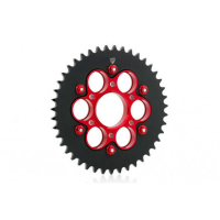 PORTE COURONNE 6 TROUS POUR KIT COMPLET - Couleur : NOIR
