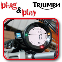 TRIUMPH T1 indicateur de rapport engagé plug and play