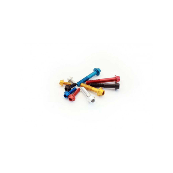 VIS ERGAL TCRCE - Couleur : Rouge, Diamètre : Diamètre M6, Longueur : Longueur 20