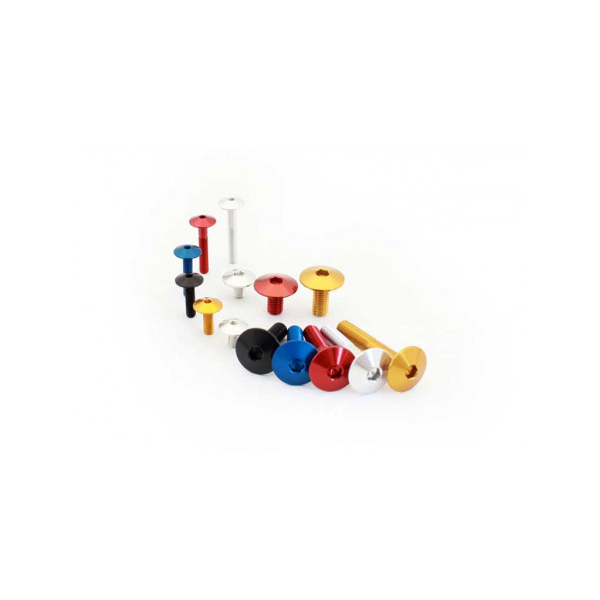 VIS ERGAL TTLEI - Couleur : Rouge, Diamètre : Diamètre M6, Longueur : Longueur 10