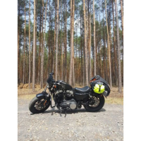 Bulle Dart Classic Harley-Davidson Sportster XL1200X Forty-Eight 39mm for - TRANSPARENTE