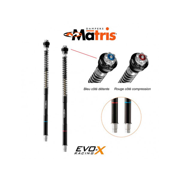 kit cartouche Matris F25SA APRILIA TUONO 1000R 06-10