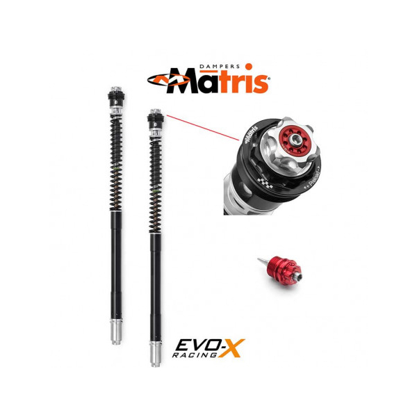 kit cartouche Matris F25RX HUSQVARNA NUDA 900 11-13