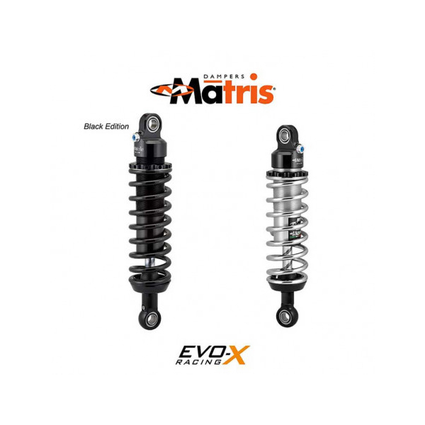 double amortisseur AR Matris M40D KAWASAKI W650 98-06 & W800 11-16