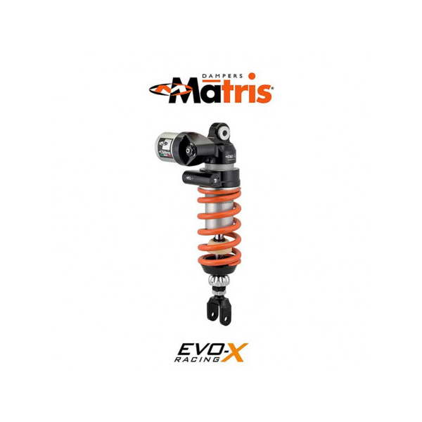 amortisseur AR Matris M46K MG GRISO 850 06-11 - 1100 05-11 - 1200 8V 07-16