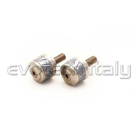BMW S1000XR / R1200R EMBOUTS DE GUIDON EVOTECH - Couleur : OR