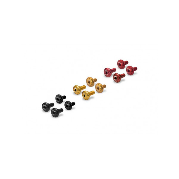 KIT VISSERIE RADIATEUR DUCATI - Couleur 1 : OR
