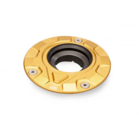 EXTERIEUR DE TRAPPE A ESSENCE 1/4 DE TOUR - Couleur 1 : OR