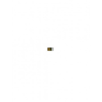 Piston de rechange aluminium diamètre 38mm pour étrier de frein Accossato