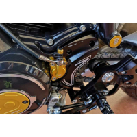 CARTER PIGNON CNC RACING DUCATI SCRAMBLER 1100 - Couleur : OR