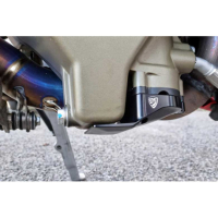Protection de carter d'huile Ducati Panigale V4 Streetfighter V4 - Couleur : NOIR