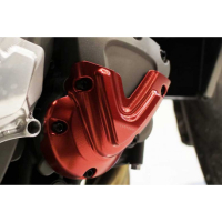 PROTECTION DE MOTEUR PICK UP GAUCHE TRIUMPH SPEED 1200 RS - Couleur : SILVER