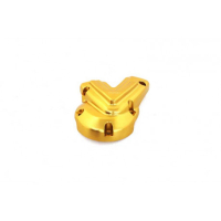 PROTECTION DE MOTEUR PICK UP GAUCHE TRIUMPH SPEED 1200 RS - Couleur : SILVER