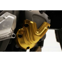PROTECTION DE MOTEUR PICK UP GAUCHE TRIUMPH SPEED 1200 RS - Couleur : SILVER