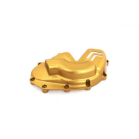 PROTECTION DE MOTEUR GAUCHE TRIUMPH SPEED 1200 RS - Couleur : OR