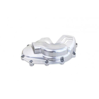 PROTECTION DE MOTEUR GAUCHE TRIUMPH SPEED 1200 RS - Couleur : OR