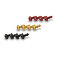 Kit vis pour conduit air CNC Racing MV Agusta Brutale 1000 Rush - Couleur : OR