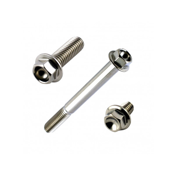 VIS TETE HEXAGONALE EN INOX RACEBOLT - longueur 75 mm