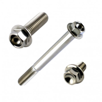 VIS TETE HEXAGONALE EN INOX RACEBOLT - longueur 85 mm 