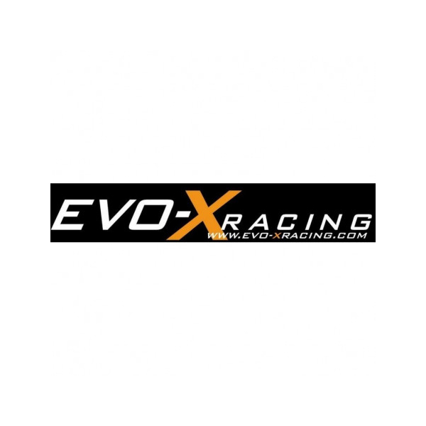 Echappements inox Zard - Version : racing, Options : noir, Matière : inox, Embout : embout inox