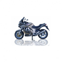Echappements inox Zard - Version : racing, Options : noir, Matière : inox, Embout : embout carbone 