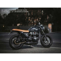 Ligne Echappement 2 en 2 court Triumph t120 Zard - Version : racing, Options : sans option, Matière : inox, Embout : embout inox