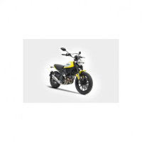 Echappement bas inox Double inox Zard - Version : racing, Options : noir, Matière : inox, Embout : embout inox