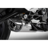 Echappement inox Triumph street triple 765 Zard - Options : sans option, Version : homologué, Embout : embout carbone, Matière : titane