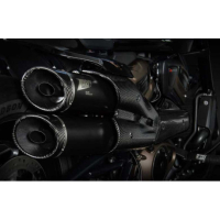 Ligne complète 2 en 1 en 2 gt inox Harley 1250 Sportster Zard - Options : noir, Matière : inox, Embout : embout carbone, Version : homologué