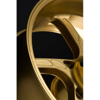 ROUE ARRIERE 17 X 5.50 ALUMINIUM FORGE  POUR VERSION MONOBRAS PIEGA R - Couleur : OR
