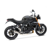 Echappements conique inox cat Zard - Version : racing, Options : sans option, Matière : inox, Embout : embout inox 