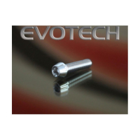 VIS ERGAL - Couleur : Or, Diamètre : Diamètre M5, Longueur : Longueur 70
