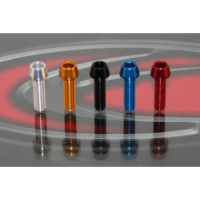 VIS ERGAL - Couleur : Bleu, Diamètre : Diamètre M6, Longueur : Longueur 20