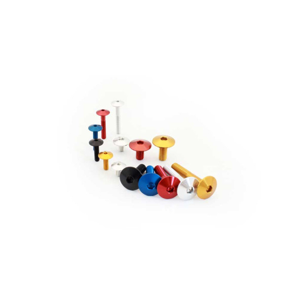 VIS ERGAL TTLEI - Couleur : Or, Diamètre : Diamètre M6, Longueur : Longueur 10