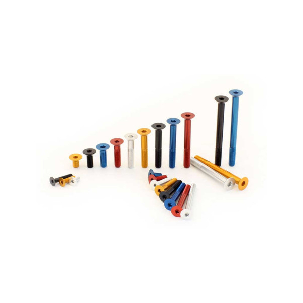 VIS ERGAL TSPEI - Couleur : Silver, Diamètre : Diamètre M6, Longueur : Longueur 40