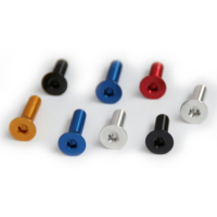 VIS ERGAL TSPEI - Couleur : Silver, Diamètre : Diamètre M6, Longueur : Longueur 40