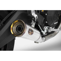Echappement Zuma Zard - Options : noir, Matière : inox, Embout : embout inox, Version : homologué