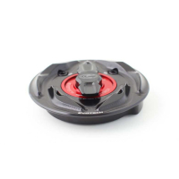 APRILIA/DUCATI/KTM/MV AGUSTA TRAPPE A ESSENCE A VISSER - Couleur extérieur de trappe : SILVER, Couleur bouchon intérieur de trappe : VERT