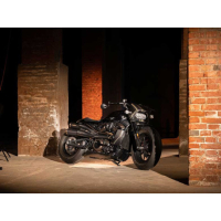 SILENCIEUX ZARD TOP GUN HARLEY DAVIDSON SPORTSTER S 1250 - Options : noir, Matière : inox, Embout : embout bronze, Version : homologué