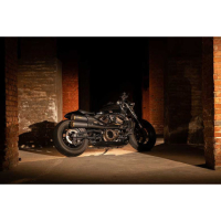 SILENCIEUX ZARD TOP GUN HARLEY DAVIDSON SPORTSTER S 1250 - Options : noir, Matière : inox, Embout : embout bronze, Version : homologué